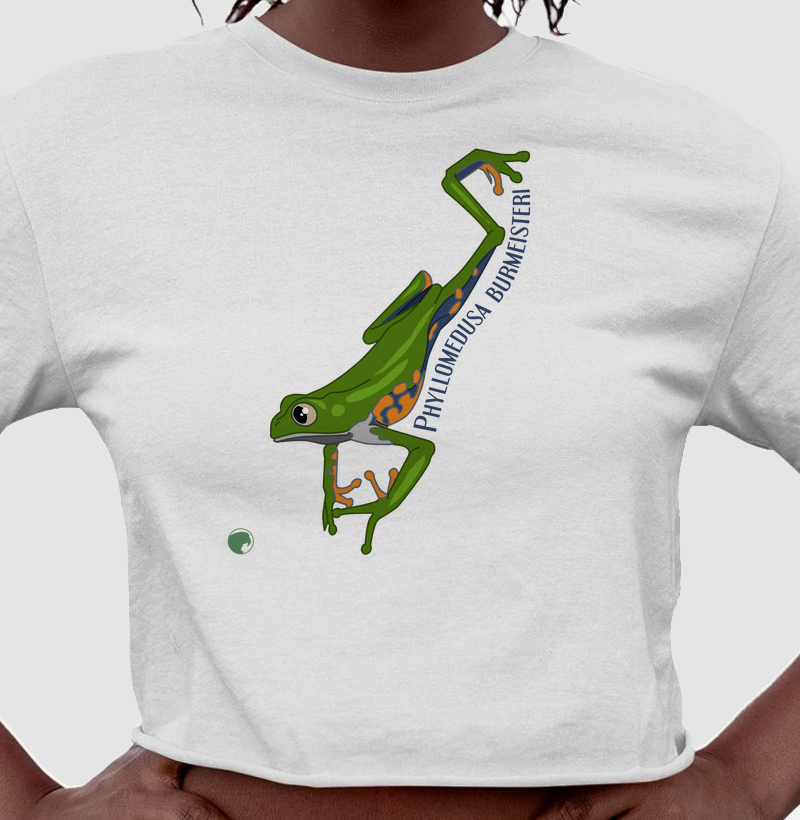 Cropped Phyllomedusa burmeisteri