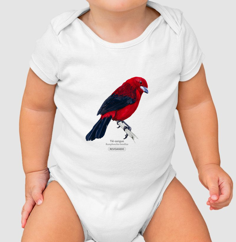 Aves do Brasil - Tiê Sangue - Body Infantil