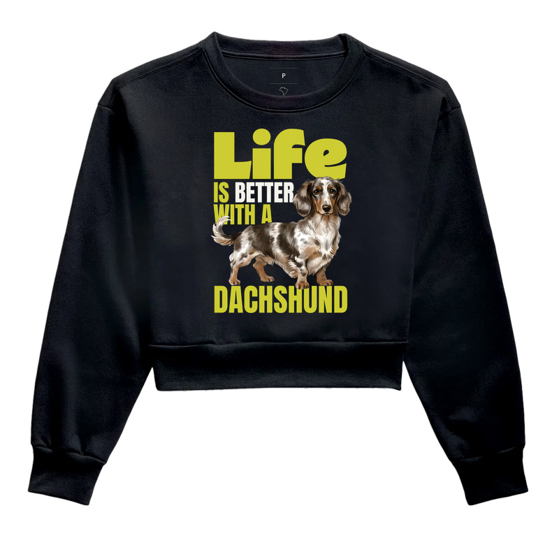 Dachshund | Life is Better
