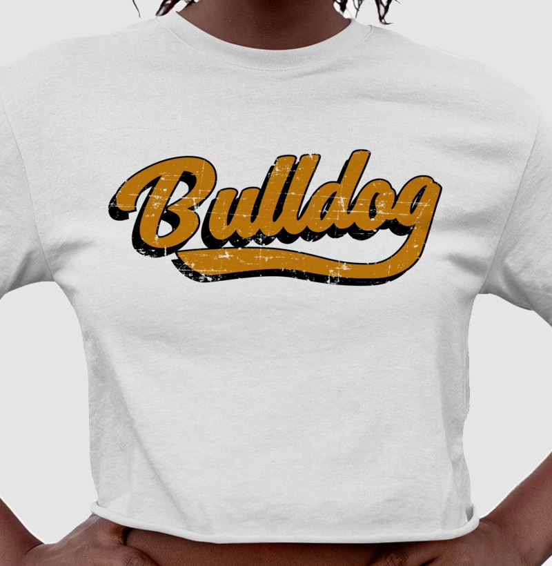 Bulldog Estilo Laranja