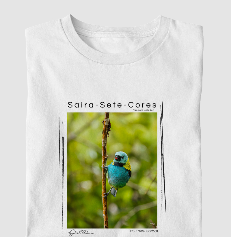 Saíra-Sete-Cores