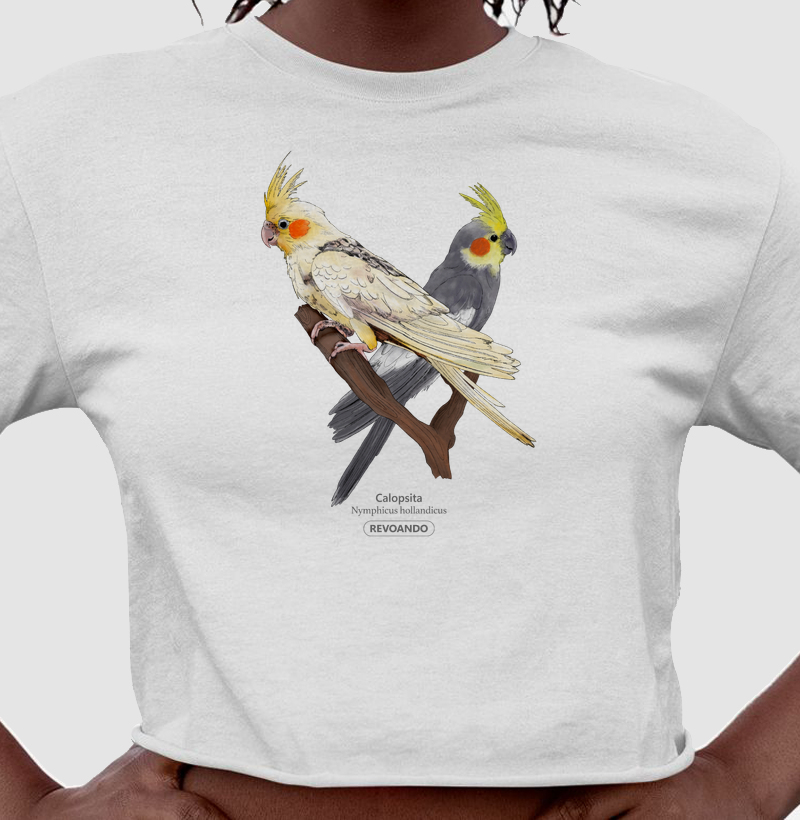 Love Friends - Calopsitas - Cropped