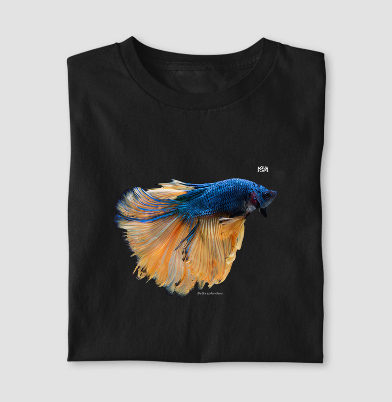 Betta splendens ver. 1