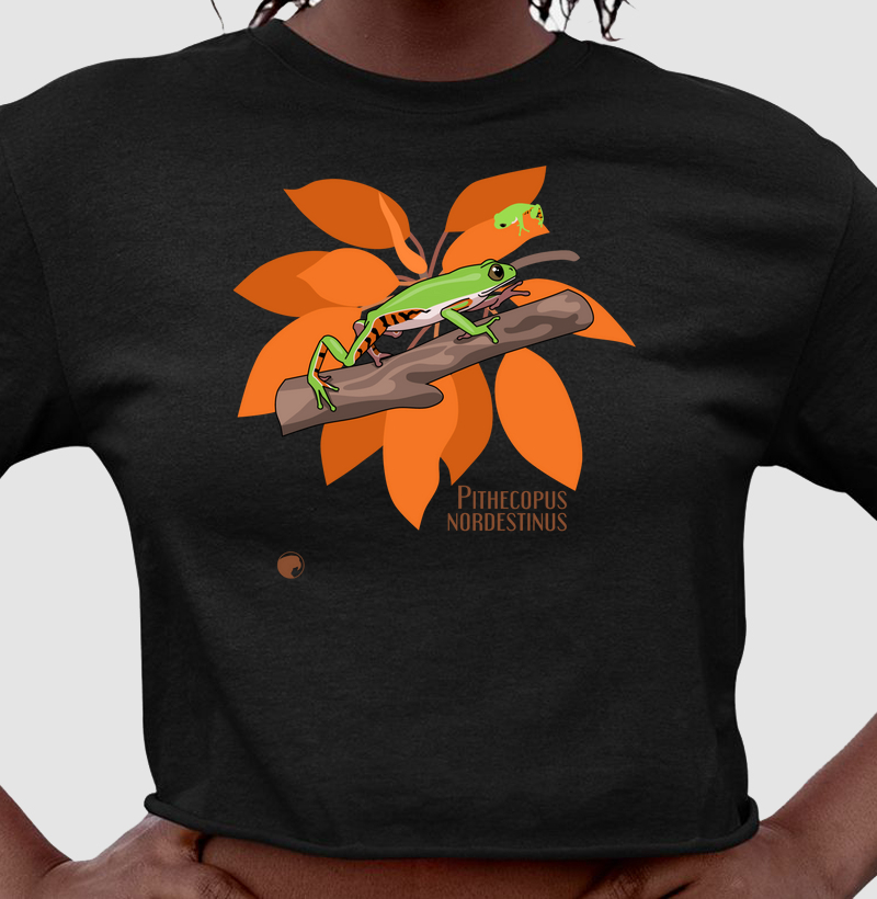 Cropped Pithecopus nordestinus