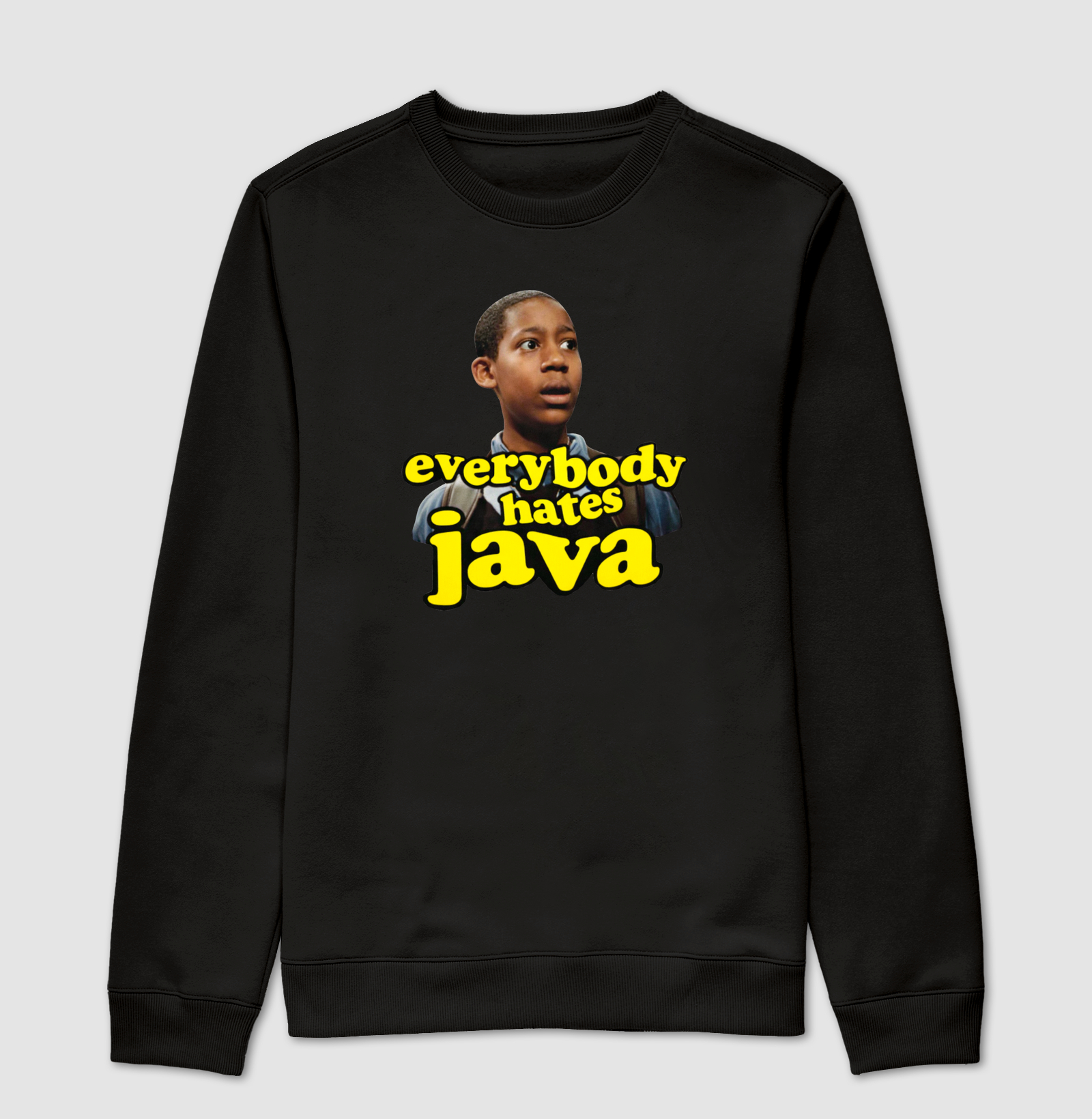 Everybody hates Java