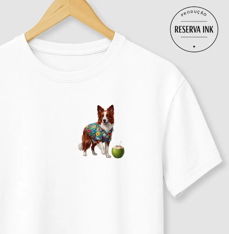 Border Collie Claro 2 - Férias