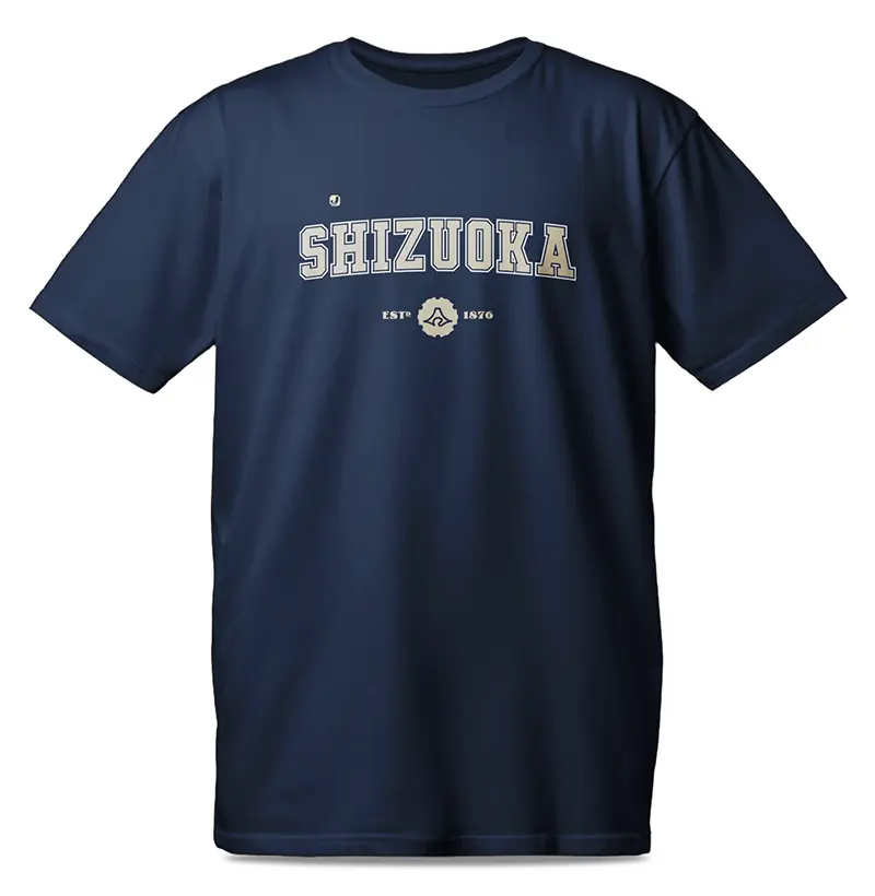 Província de Shizuoka