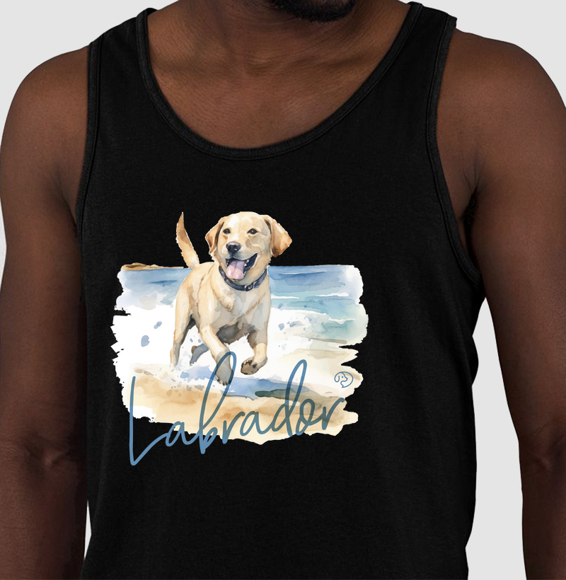 Labrador Splash