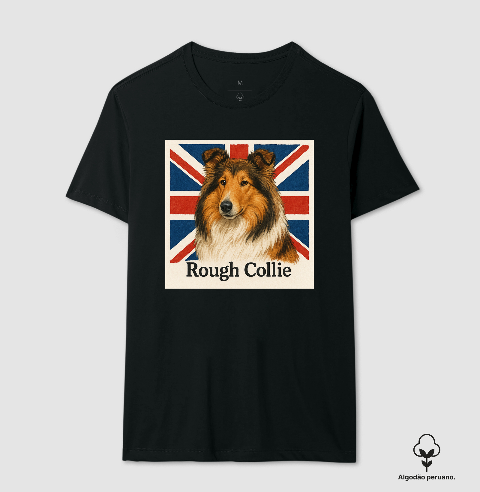 Rough Collie 02