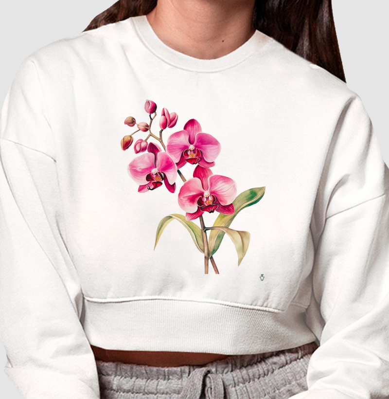 Coleção Orquídeas