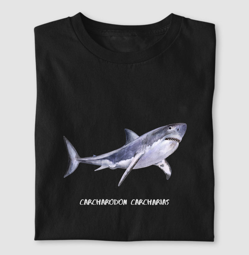Carcharodon carcharias