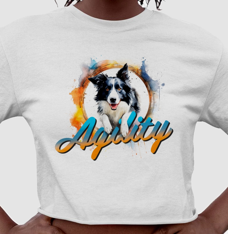 Border Collie Agility