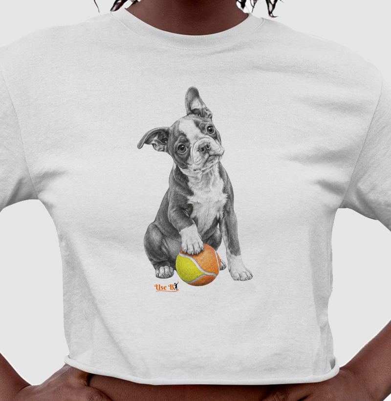 Boston Terrier do Beach