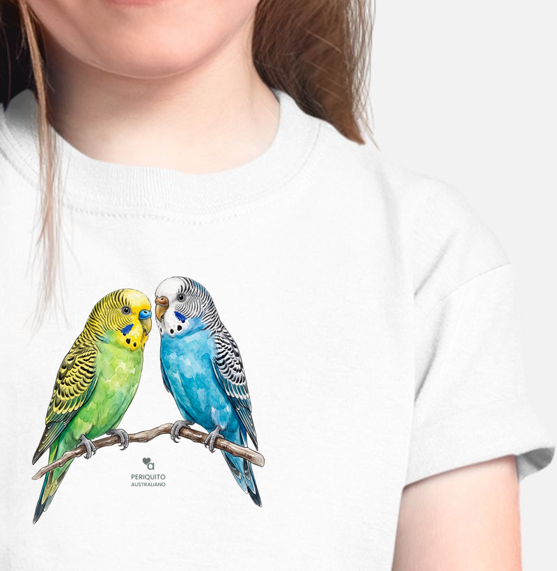 Aves - Periquitos Australianos - Infantil
