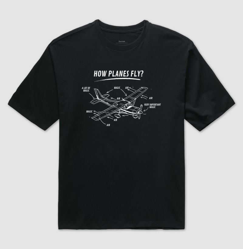 How Planes Fly?