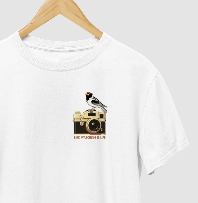 Mini Aves - BirdWatching