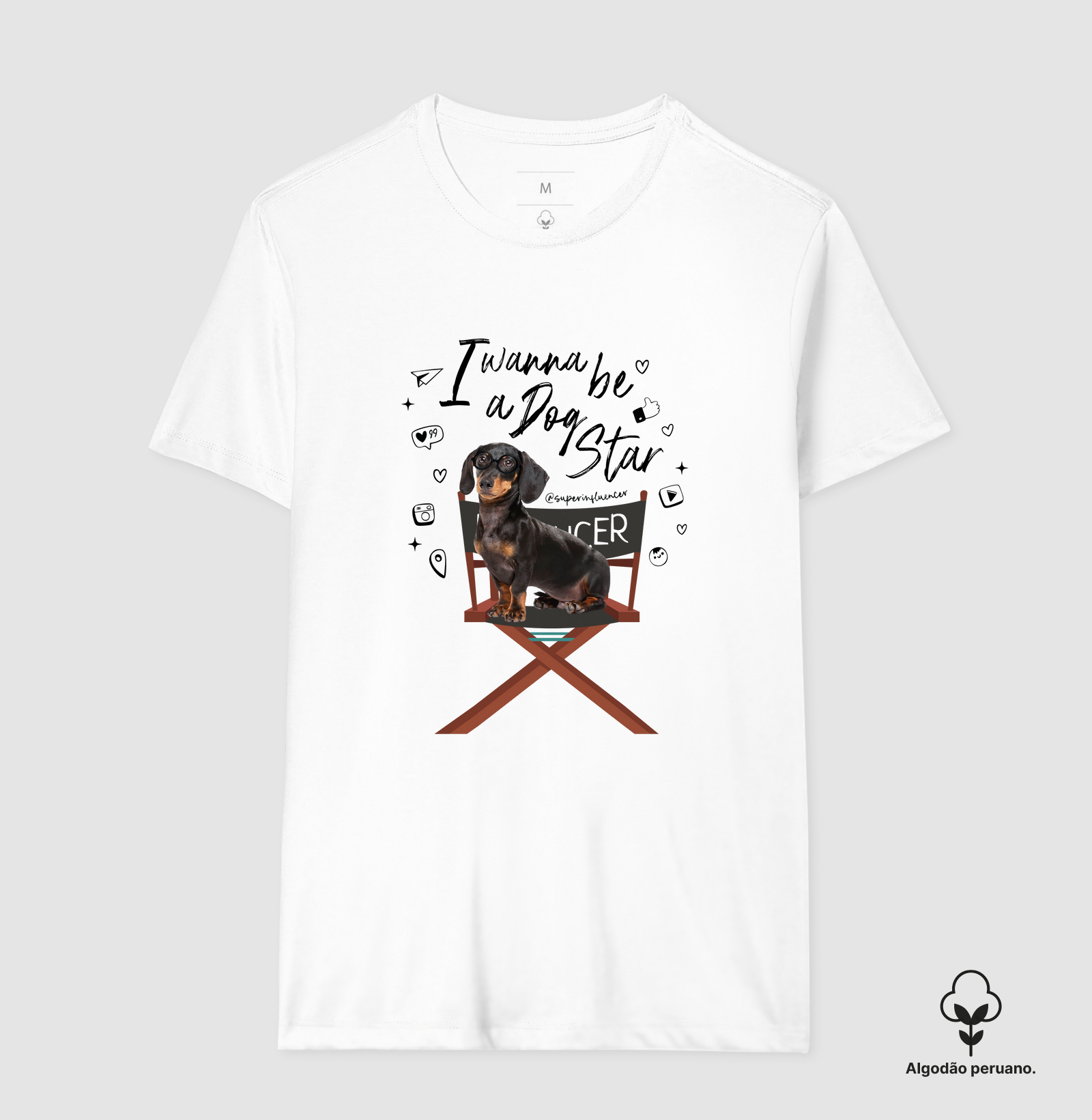 Dachshund | Be a Dog Star