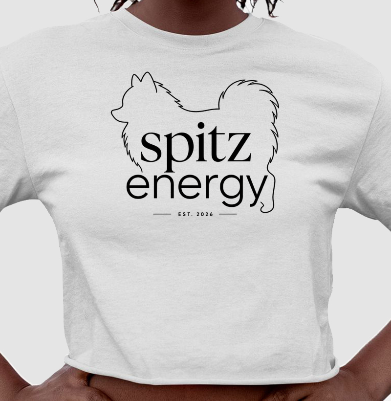 Spitz Energy