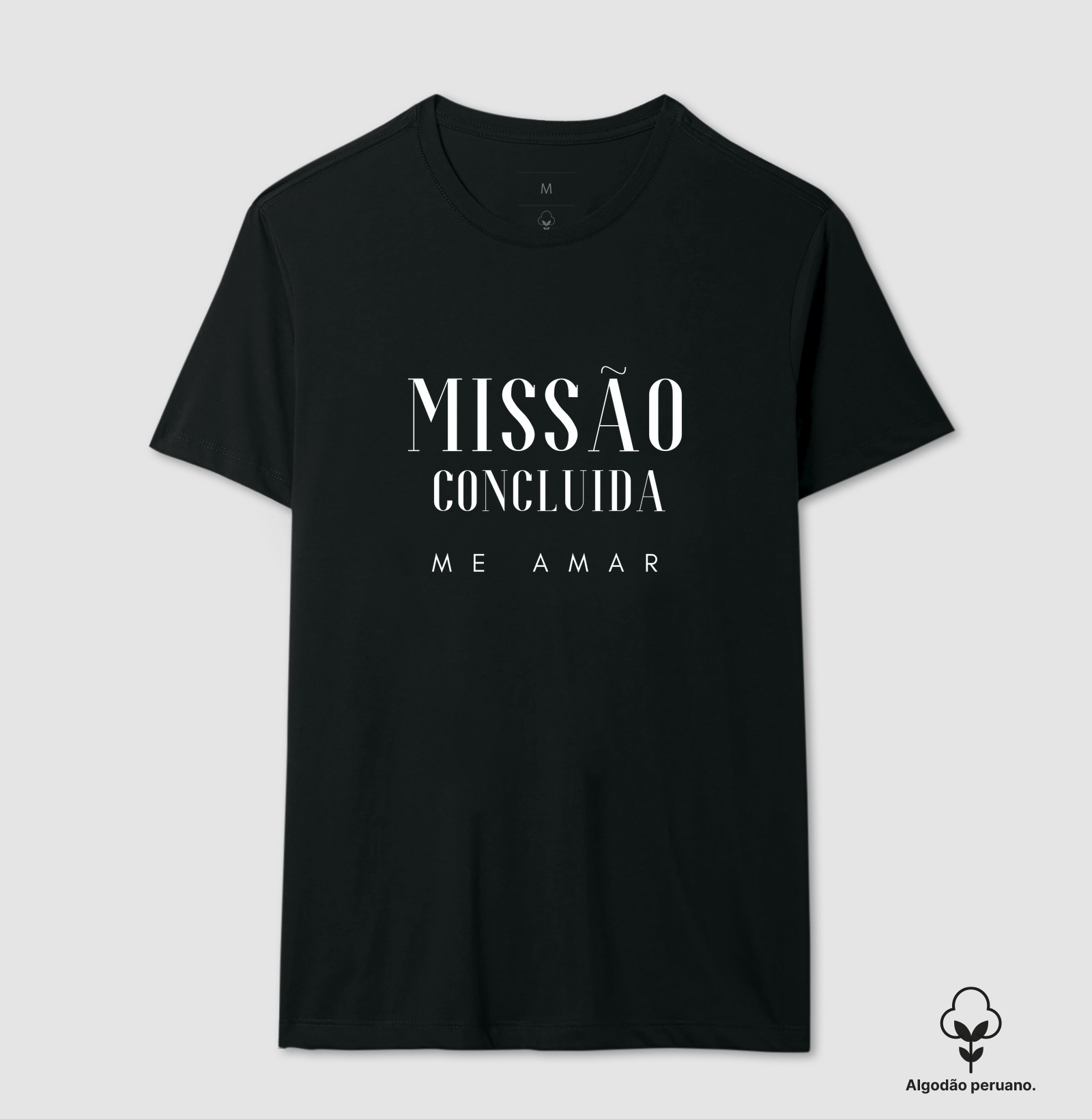 Missão Concluída