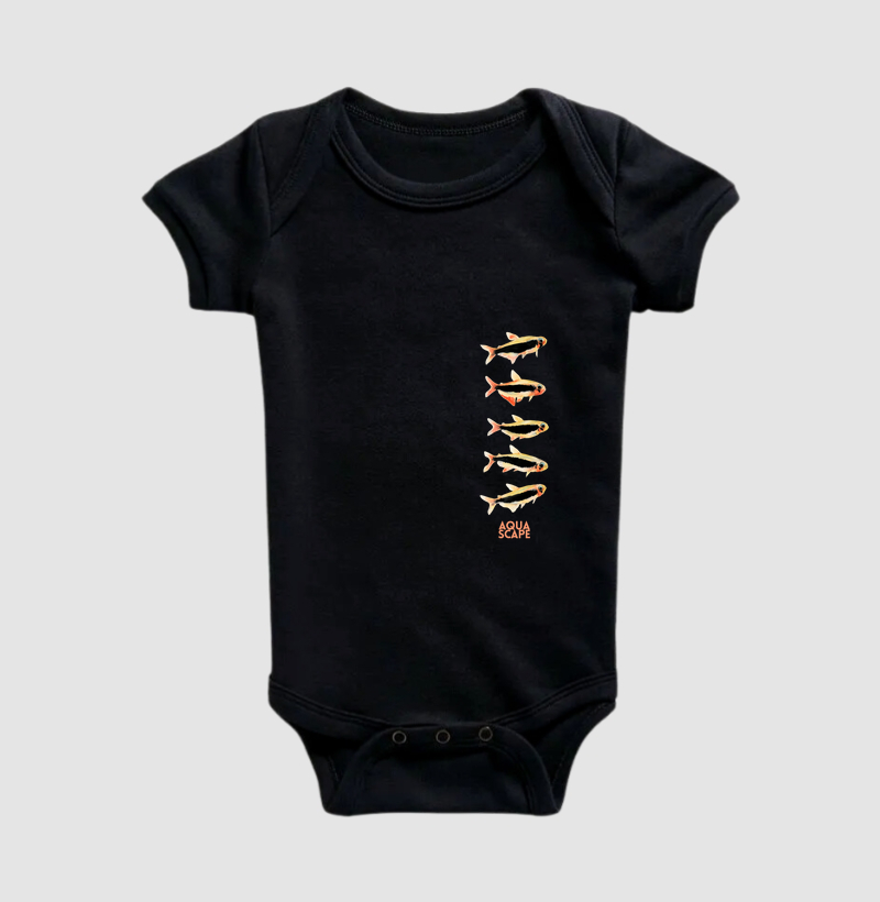 "Tetra Tucano" Tucanoichthys tucano - "Cardume Bolso"