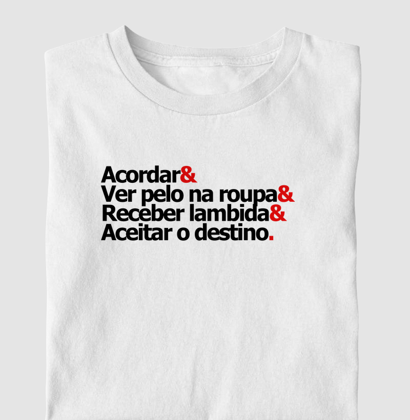 Aceitar o Destino