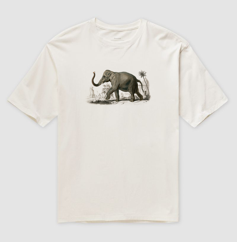 Elefante-asiático