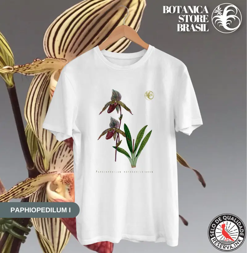 Paphiopedilum I