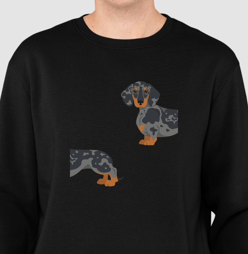 Dachshund Arlequim