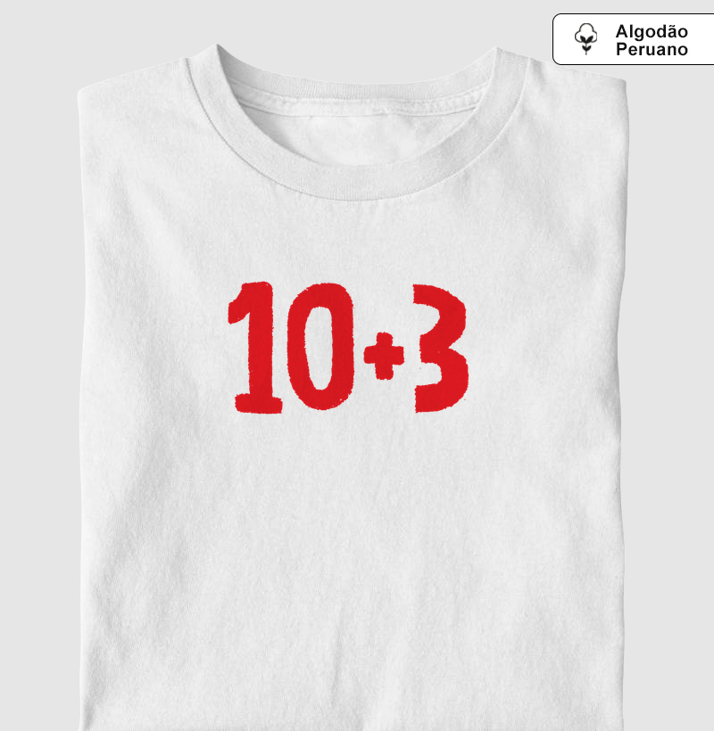 10+3