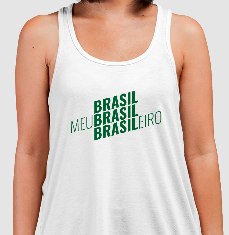 meu brasil brasileiro