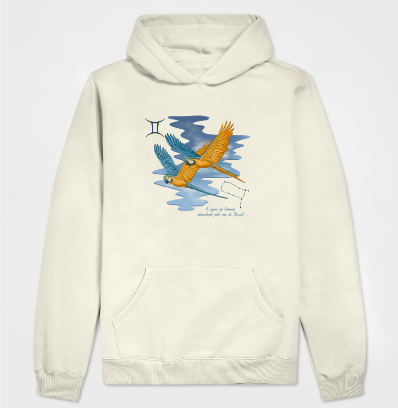 Gêmeos pelo céu do Brasil