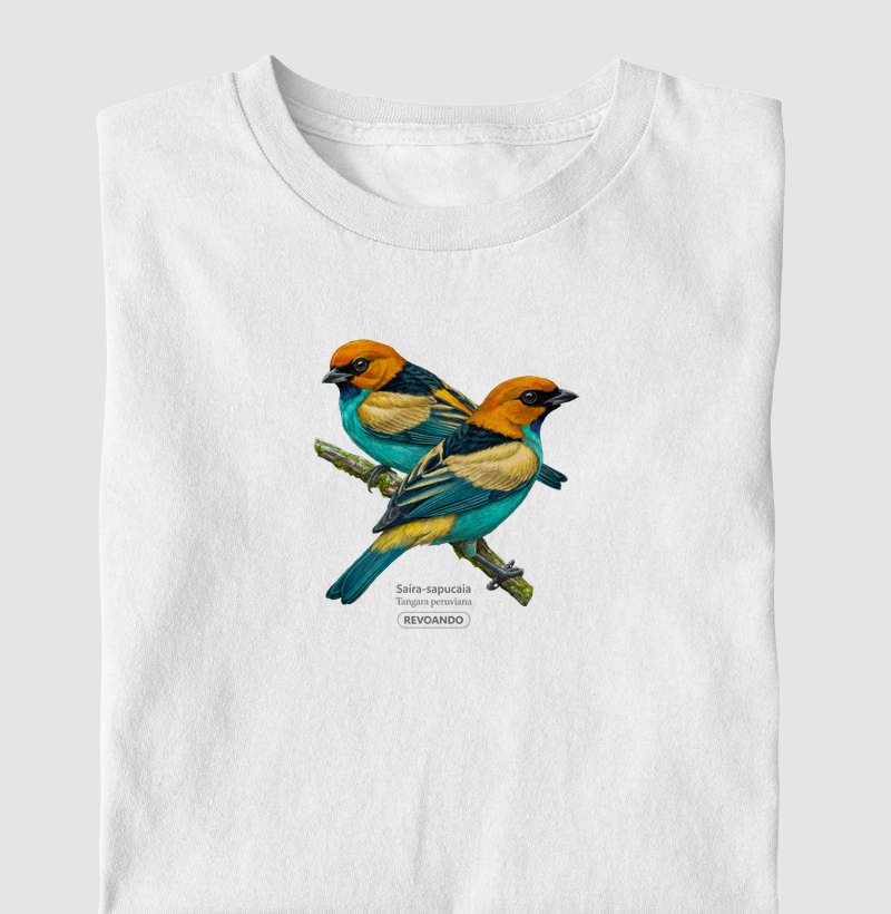 Traços Alados - Saíra-sapucaia - Infantil