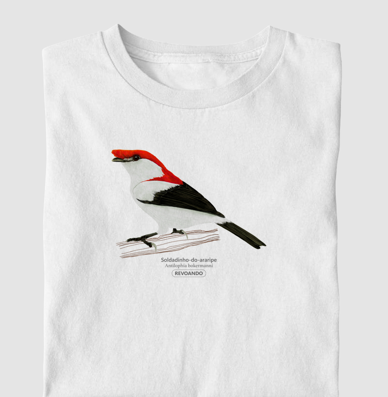 Inky Aves - Soldadinho-do-araripe