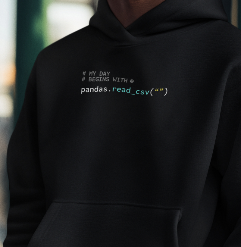 My Day Begins with Pandas