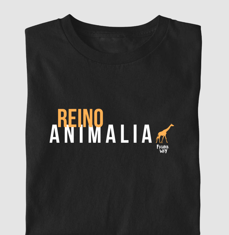 Reino Animalia