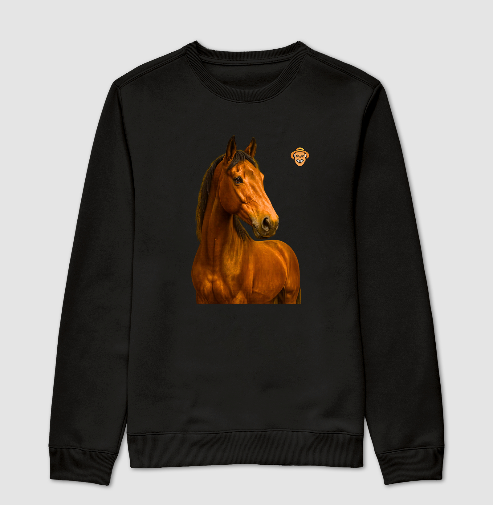 Cavalo baio 