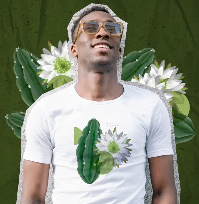 Mandacaru - Ilustropical