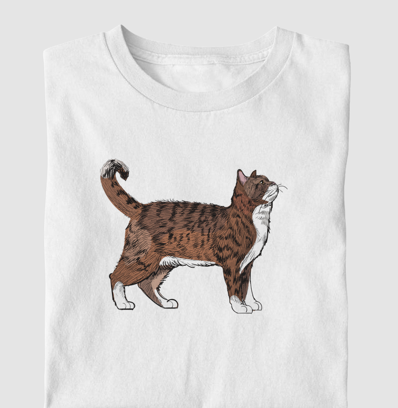 American Wirehair