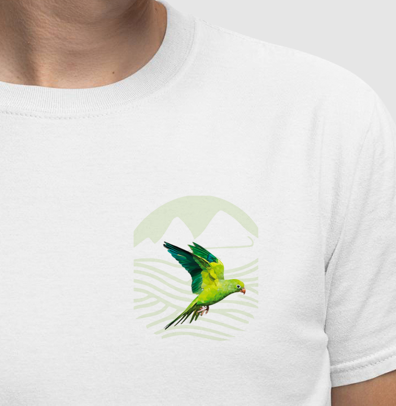 Papagaio geométrico