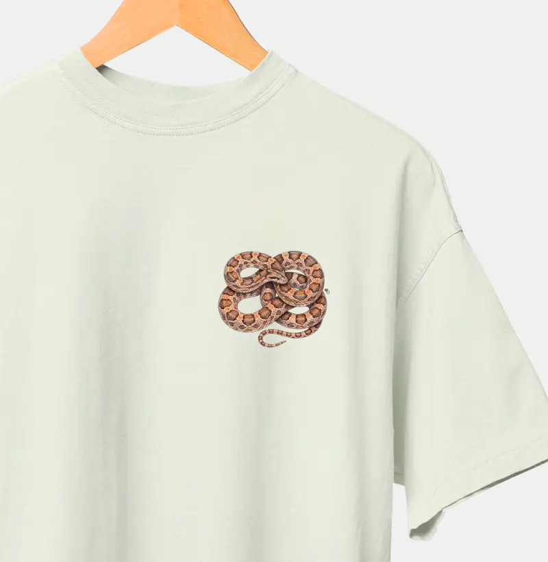 Répteis - Mini - Jibóia-arco-íris do Cerrado - Oversized - Camiseta Oversized