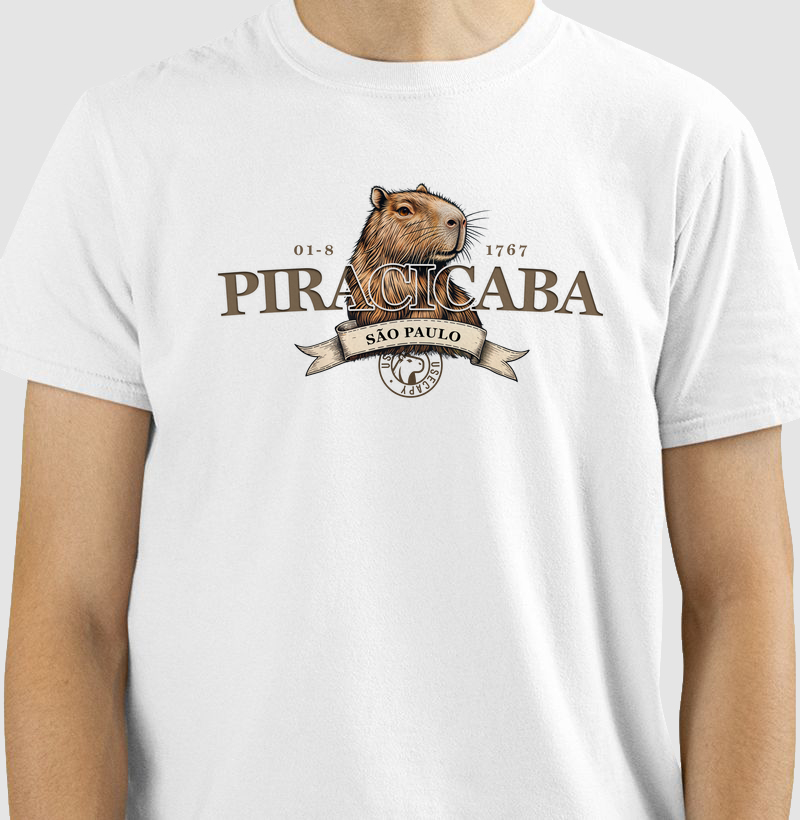 Cidade Piracicaba - SP