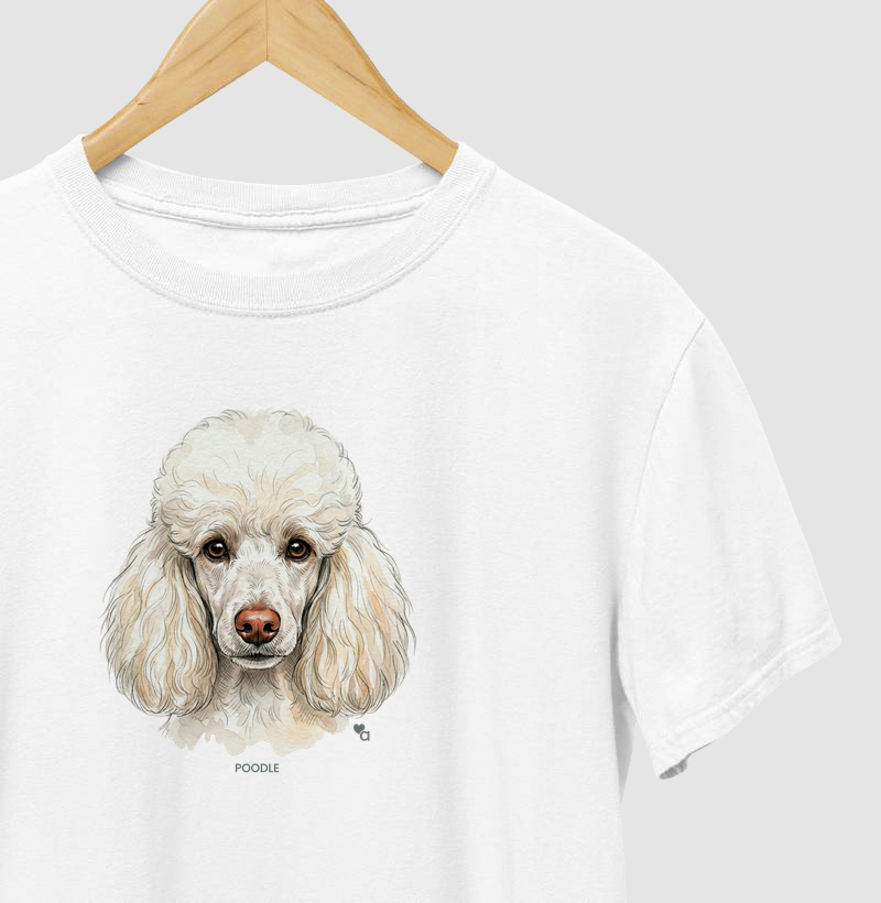 Cães - Poodle