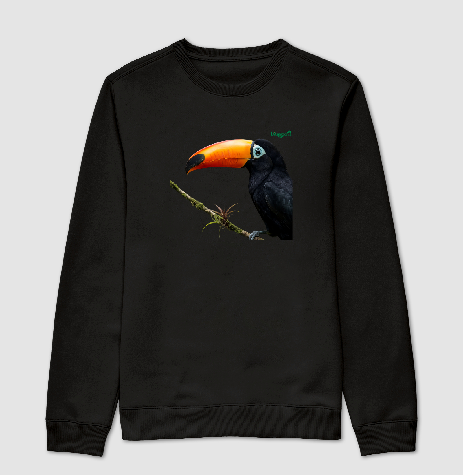 Tucano-Toco