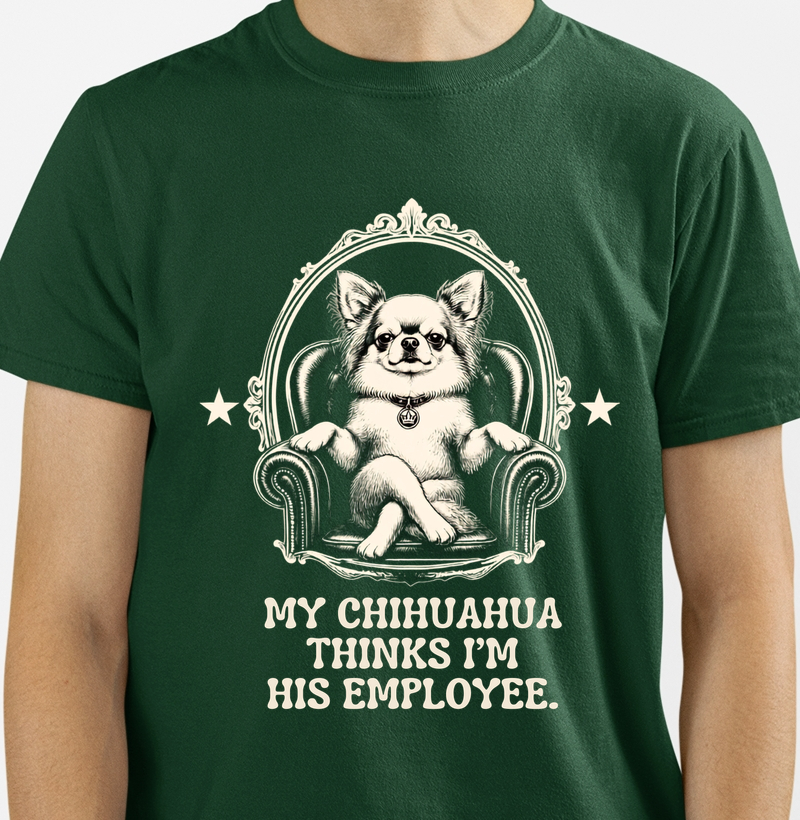 My chihuahua thinks 