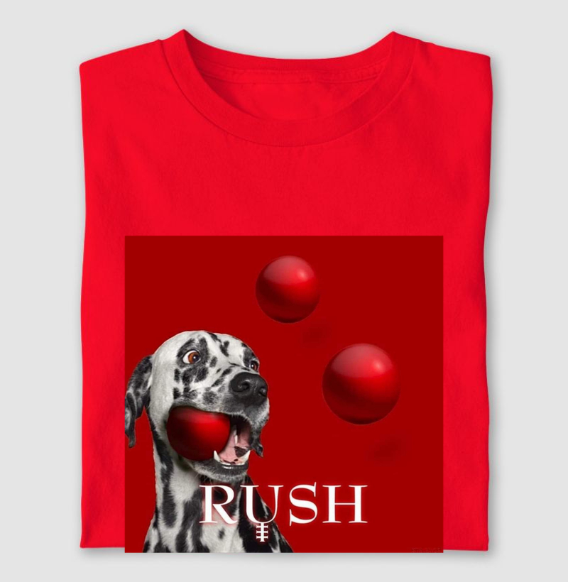 Time Stand Still - RUSH