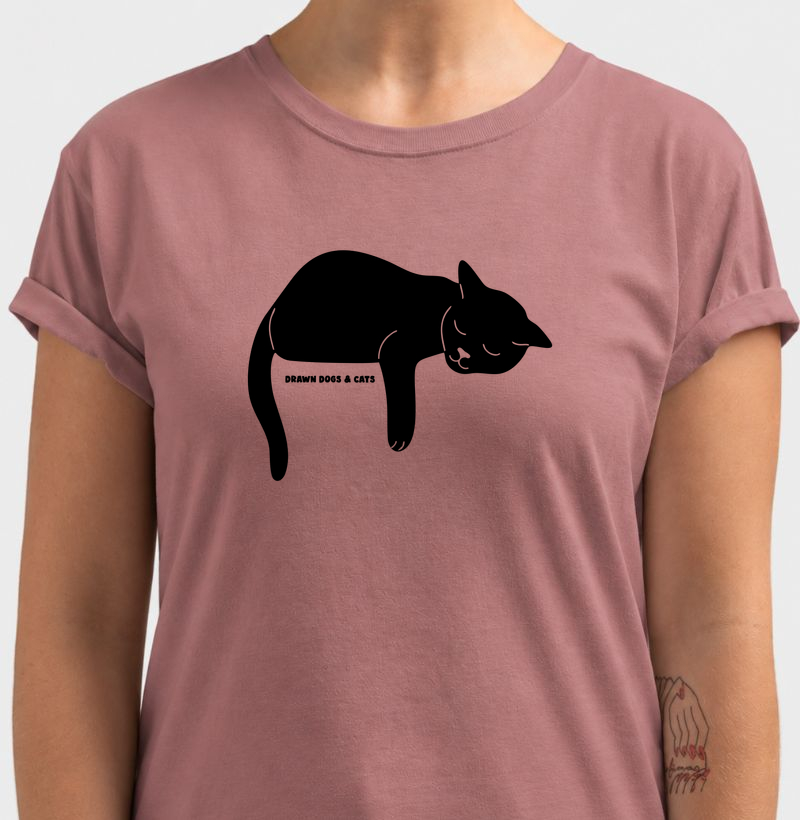Gato deitado com a pata caída