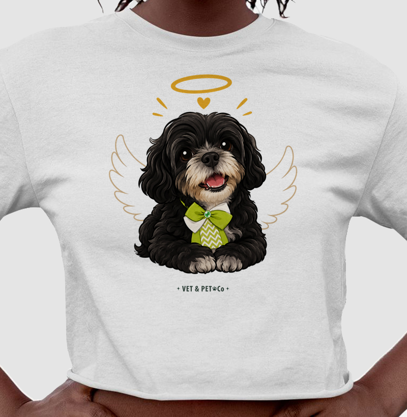 Angel Shih-Tzu (Black & White)