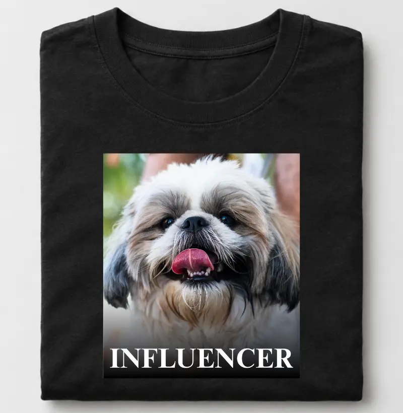 Influencer