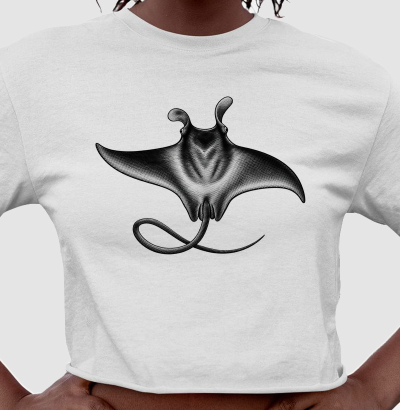 Mobula - Cropped
