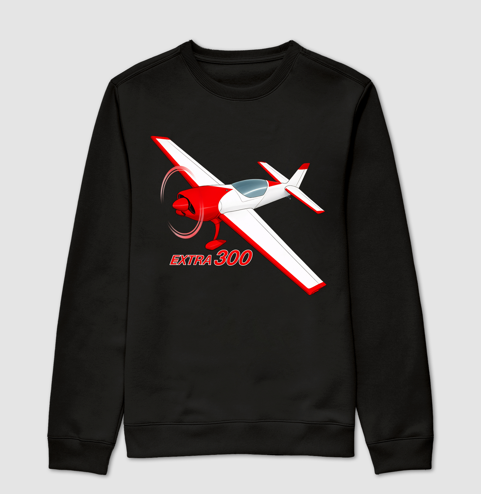 Extra300 